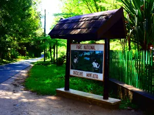 Parc national d'Andasibe-Mantadia