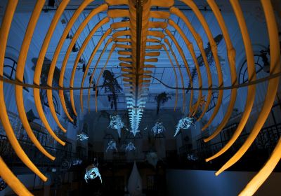 Oceanographic Museum of Monaco