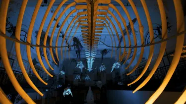 Oceanographic Museum of Monaco