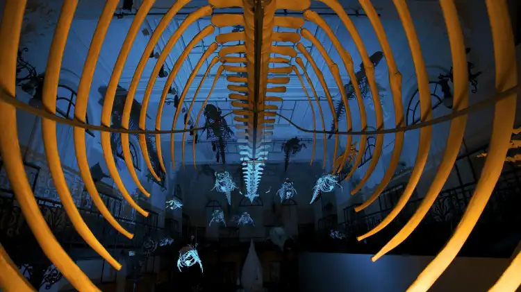 Hôtels à proximité de : Musée océanographique de Monaco