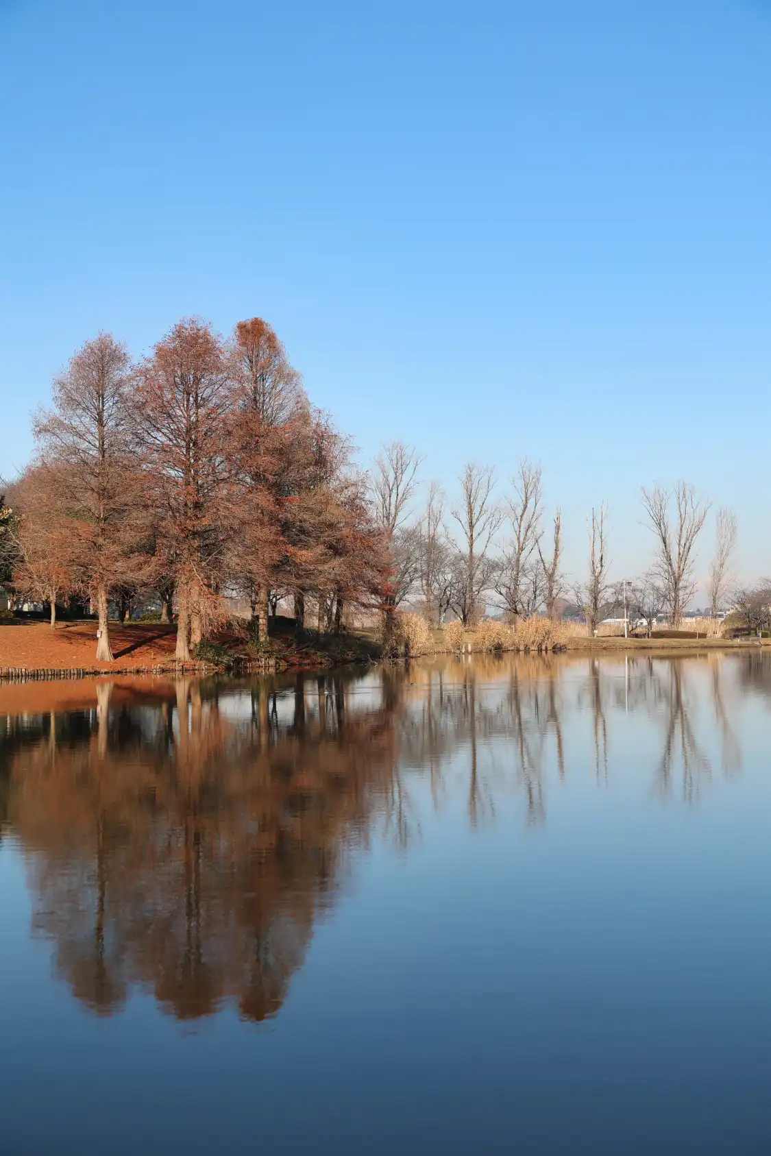 Hotels near Kinu Park