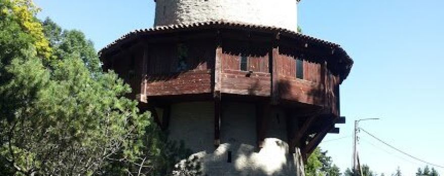 Kiiu