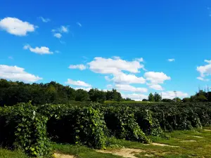 Merritt Estate Winery