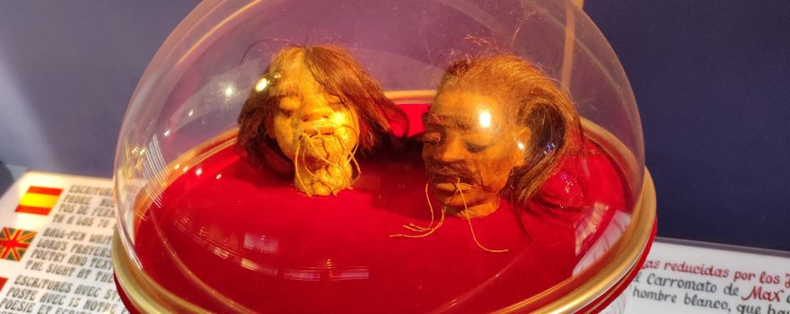 Professor Max's Miniatures Museum