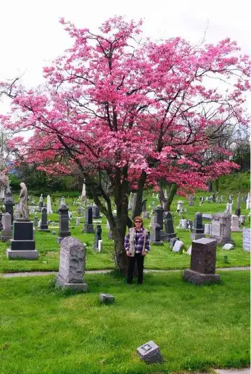 Hotels near Historic Jersey City and Harsimus Cemetery