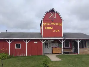 Wellington Farm Park