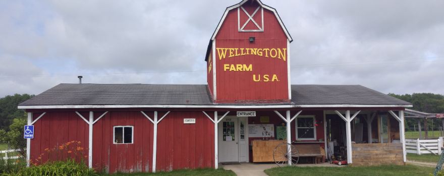 Wellington Farm Park