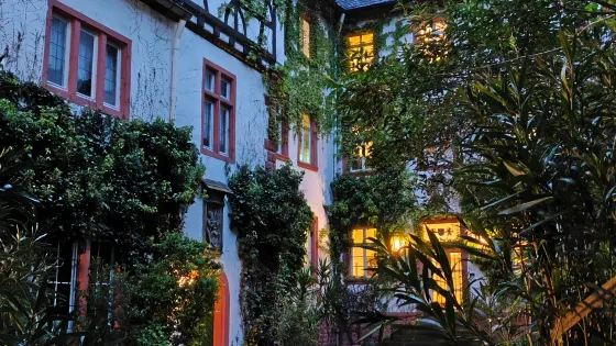 Schloss Martinsburg