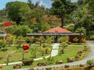 Jardin Botanique de Valombreuse