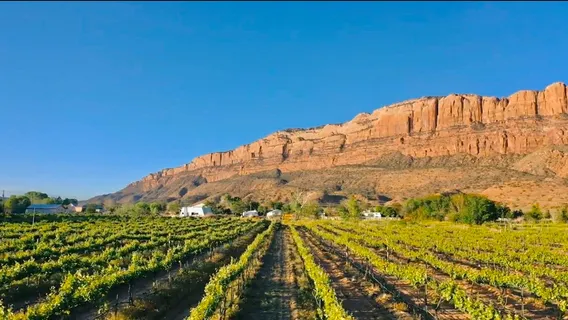 Spanish Valley Vineyard & Winery