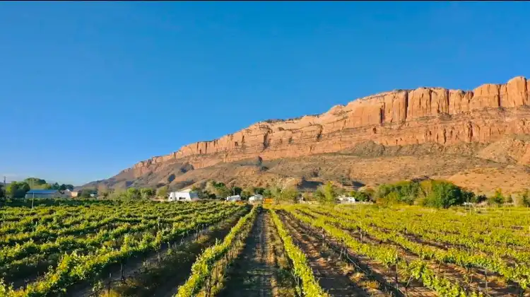 Hotels near Spanish Valley Vineyard & Winery