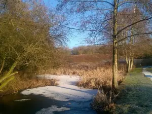 Fermyn Woods Country Park