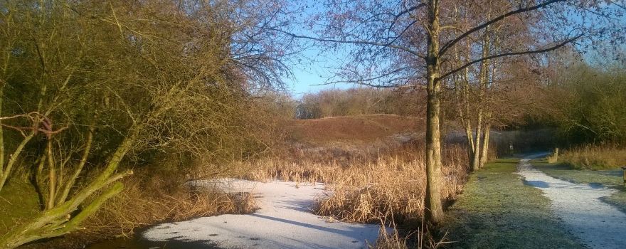 Fermyn Woods Country Park
