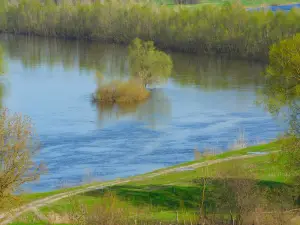 Сейм река