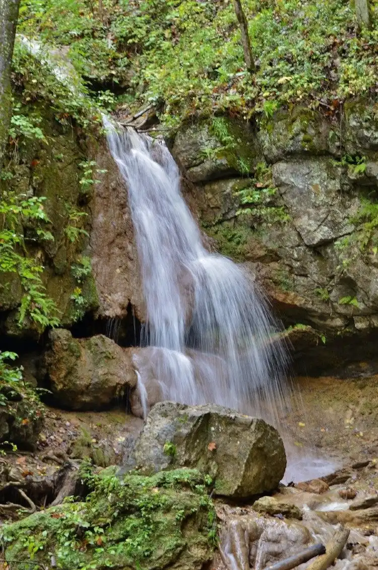 Hotels in Montgomery County