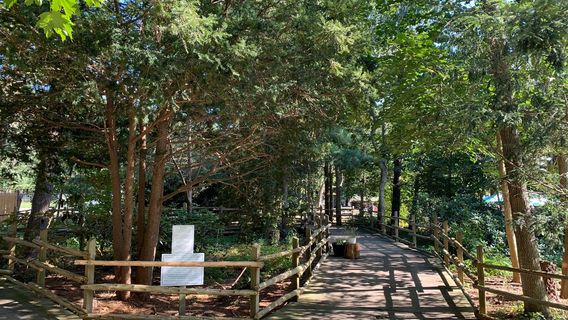 Long Island Game Farm - Wildlife Park & Children's Zoo