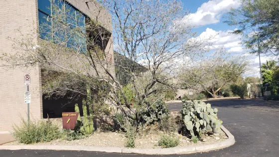 Xeriscape Botanical Gardens