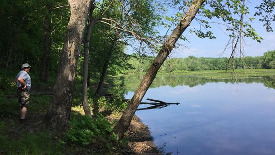 Mass Audubon Arcadia Wildlife Sanctuary