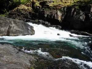 Pont suspendu d'Elk Falls