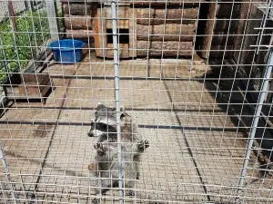 Zoo