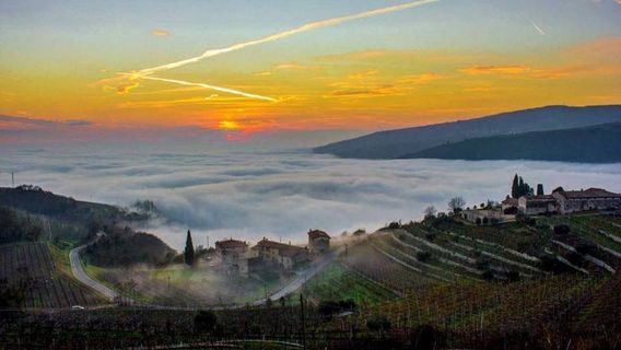 Marano di Valpolicella