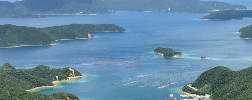 高知山觀景台