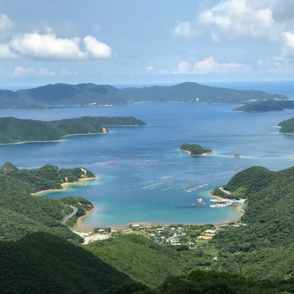 高知山觀景台附近的飯店