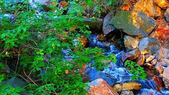 Oak Canyon Nature Center