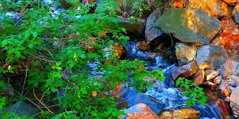 Oak Canyon Nature Center