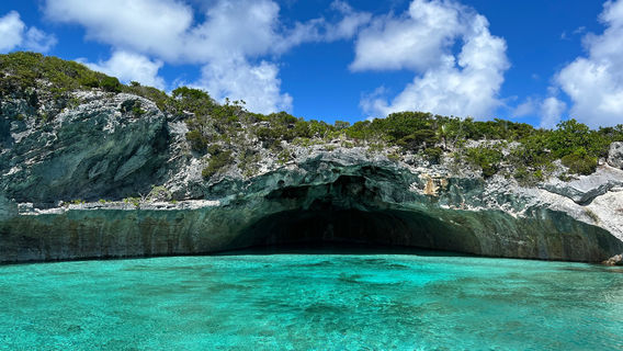 Aquadisiac Adventures