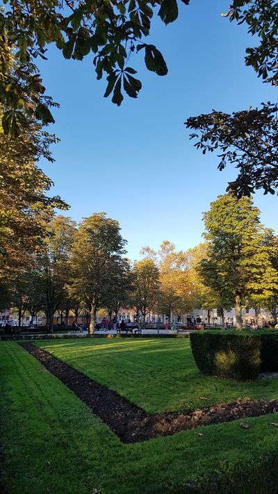 Jardin National