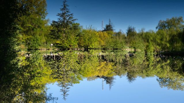 Jardin Compans Caffarelli