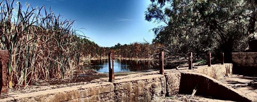 Willandra National Park