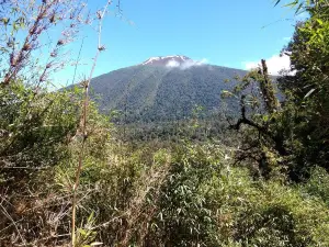Hornopiren National Park