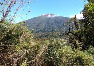 Hornopiren National Park