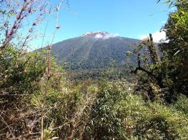 Hornopiren National Park