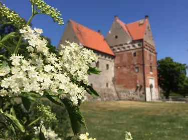 Kavlinge