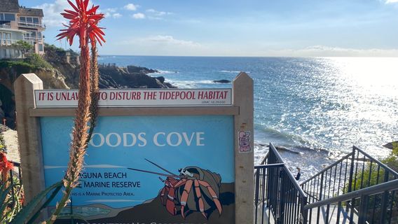 Laguna Beach
