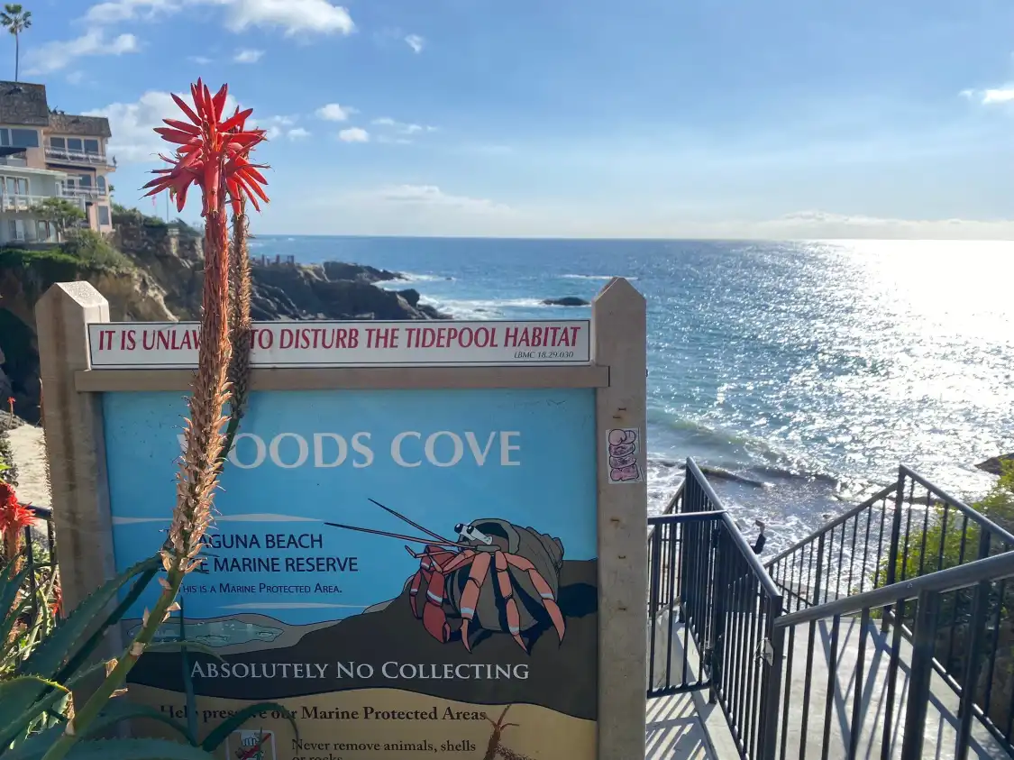 Hotels near Woods Cove