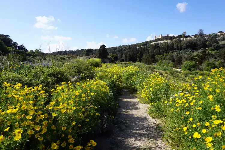 Hotels near Siġġiewi Church Of St Nicholas