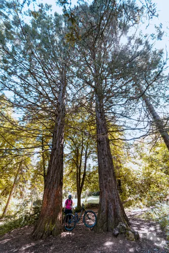 Boo Mountain Bike Park