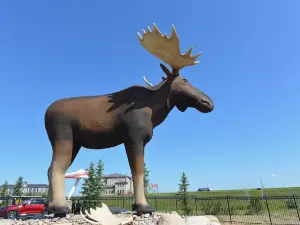 Mac the Moose