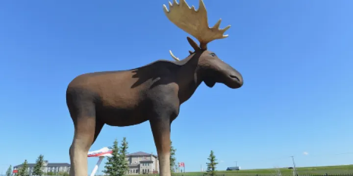 Mac the Moose Monument