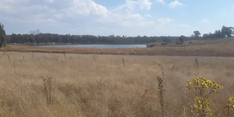Modderfontein Reserve
