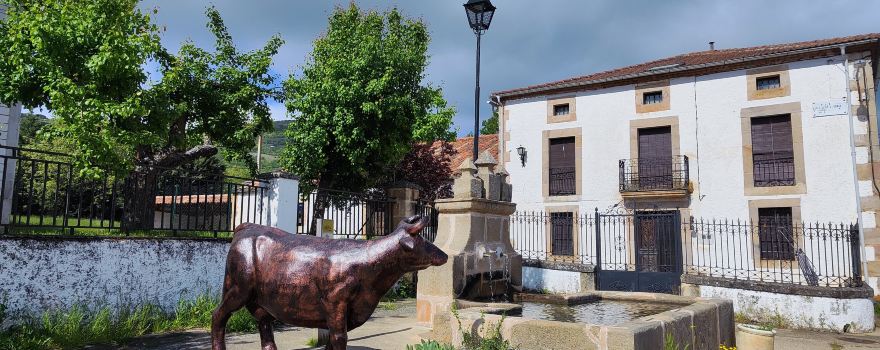 Sotillo Del Rincon