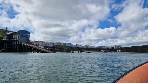 Saundersfoot Sea Safari