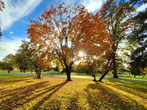 Perkins Park