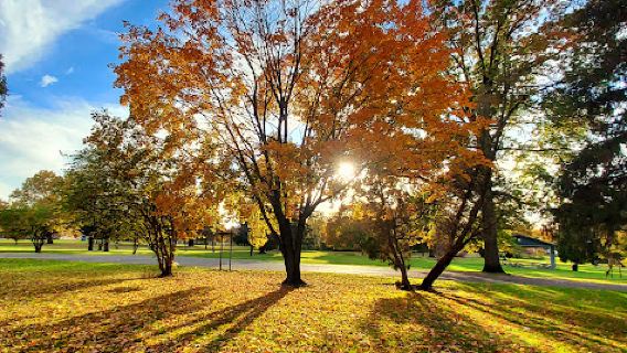 Perkins Park