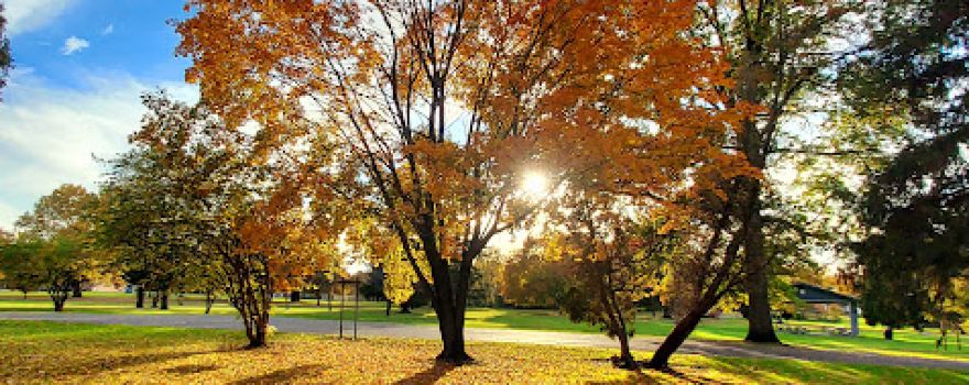 Perkins Park