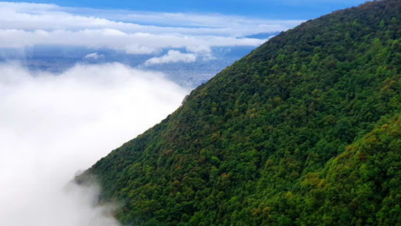 Chaap Bhanjyang